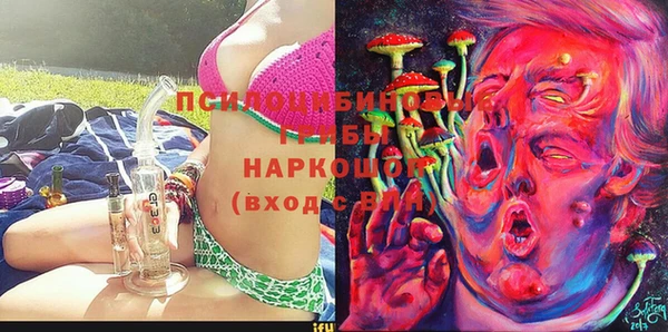 ПСИЛОЦИБИНОВЫЕ ГРИБЫ Абаза